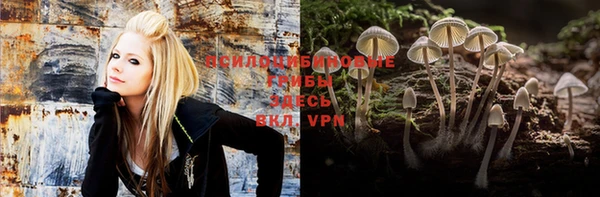дурь Верхний Тагил